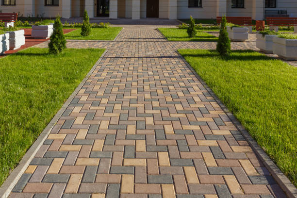 Best Asphalt Driveway Paving in Pine Island, MN